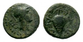 Cilicia. Soloi 350-300 BC. Bronze Æ

Weight: 2,41 gr
Diameter: 14,00 mm