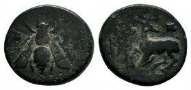 Ephesos, Ionia, ca. 387-280 BC.AE Bronze

Weight: 2,14 gr
Diameter: 15,00 mm
