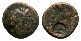 SELEUKID KINGS OF SYRIA. Achaios Usurper (220-214 BC). Ae.

Weight: 5,12 gr
Diameter: 18,00 mm