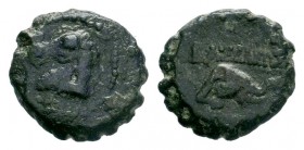 Seleukid Kings, Demetrios I (162-150 BC). Serrate Æ . Antioch.

Weight: 3,83 gr
Diameter: 17,00 mm