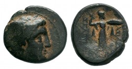 Seleukid King of Syria. Antioch on the Orontes. Seleukos I Nikator 312-281 BC.

Weight: 6,68 gr
Diameter: 21,00 mm