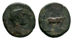 Macedonia - Augustus (27 BC-AD 14), Philippi (?), AE,

Weight: 4,86 gr
Diameter: 19,00 mm