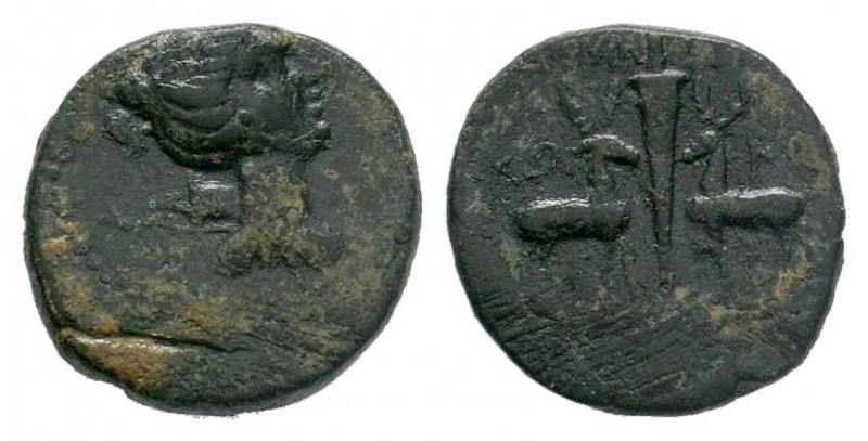 IONIA. Ephesos. Ae (Circa 48-27 BC).

Weight: 4,68 gr
Diameter: 19,00 mm