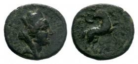 SYRIA. Seleucis and Pieria. Antioch. Pseudo-autonomous. Time of Hadrian (117-138 BC).

Weight: 3,02 gr
Diameter: 18,00 mm