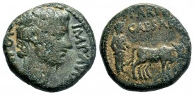 Caesarea Maritima. AUGUSTUS, 27 B.C.- A.D. 14. AE

Weight: 18,40 gr
Diameter: 24,75 mm