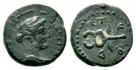 SYRIA. Seleucis and Pieria. Antioch. Civic coinage. Dated CE 194/AD 145-6. Ae

Weight: 2,41 gr
Diameter: 14,70 mm