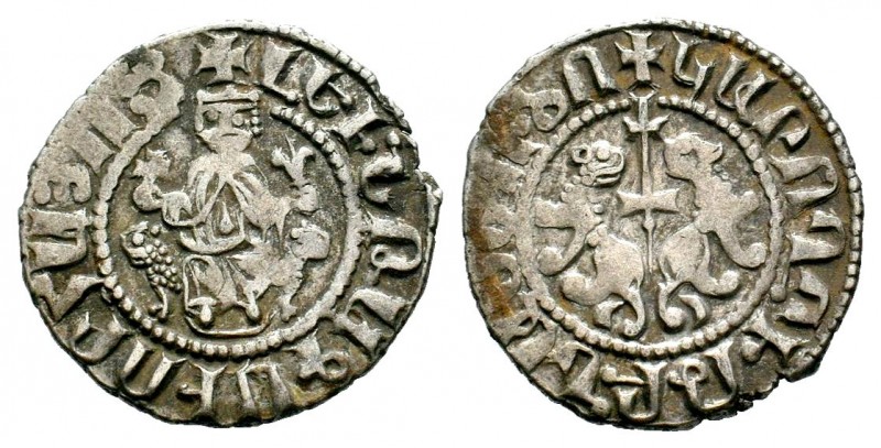 Armenia, Cilician Armenia. Levon I AR Tram. 1198-1219.

Weight: 3,10 gr
Diameter...