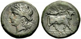 GRIECHISCHE MÜNZEN
KAMPANIEN.  SUESSA AURUNCA.  Bronze um 270 v. Chr. Apollonkopf mit Lorbeerkranz n.l., dahinter 0 Rv. SVESANO Androkephaler, bärtig...