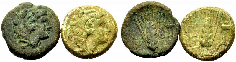 GRIECHISCHE MÜNZEN
LUKANIEN.  METAPONT.  Lot von 2 Bronzen, 4.-3. Jh. v. Chr. K...
