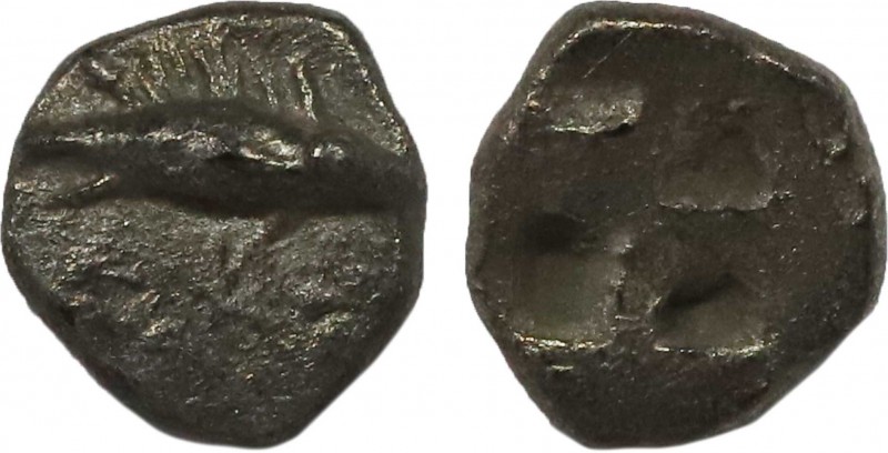 MYSIA. Kyzikos. Obol (Circa 550-530 BC). Obv: Tunny right. Rev: Quadripartite in...