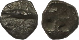 MYSIA. Kyzikos. Obol (Circa 550-530 BC). Obv: Tunny right. Rev: Quadripartite incuse square. Klein 261 var. (tunny left); Gitbud & Naumann 20, lot 203...