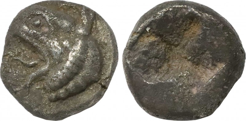 IONIA. Phokaia. Diobol (Circa 521-478 BC).
Obv: Head of griffin left.
Rev: Rough...
