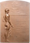 Deutsche Medaillen. 
Personenmedaillen. 
Goethe, Joh. W. v. (1749-1832). Einseitige Bronzeplakette 1900, v. Rudolf Marschall, Errichtung des Wiener ...
