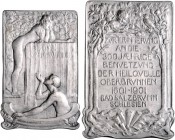 Deutsche Medaillen. 
Bad Salzbrunn/Schles.. 
Versilb. Bro.-Plakette im Jugendstil 1901, v. A. Kraumann b. Mayer & Wilhelm, Stuttg., 300-jähr. Nutzun...