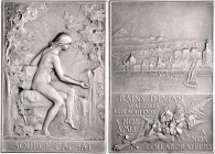 Jugendstil (Art nouveau)-Medaillen. 
Frankreich. Versilb. Bronzeplakette 1902, von F. Vernon nach Louis Charles Beylard (1843-1925), Einweihung des N...