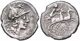 Römische Münzen. 
Republik. 
Pinarius Natta (?), 155 vdZ. Denar, 3,61 g, Romakopf re., dahinter Wertzeichen X/Viktoria in Biga n. re., darunter NAT....
