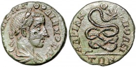 Römische Münzen. 
Kolonien und Provinzen. 
Thrakia/Hadrianopolis, Gordian III., 238-244. AE 24, 13,14 g, belorb., drap. Panzerbüste re./Schlange. Va...