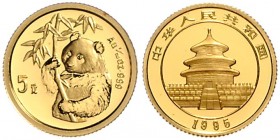China-Volksrepublik. 
5 Yuan 1995 (schmale Jahresziffern), GOLD (1/20 Oz fein), Panda, Hüftbild mit Bambuszweig. Schön&nbsp;781.2, KM&nbsp;715. mehrw...