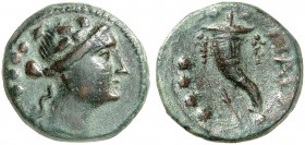 GRIECHISCHE MÜNZEN. LUKANIEN. - Poseidonia unter dem Namen Paestum. 
Bronze, 268-89 v. Chr. Dionysoskopf / Füllhorn, Beizeichen Palmzweig.
SNG ANS 7...