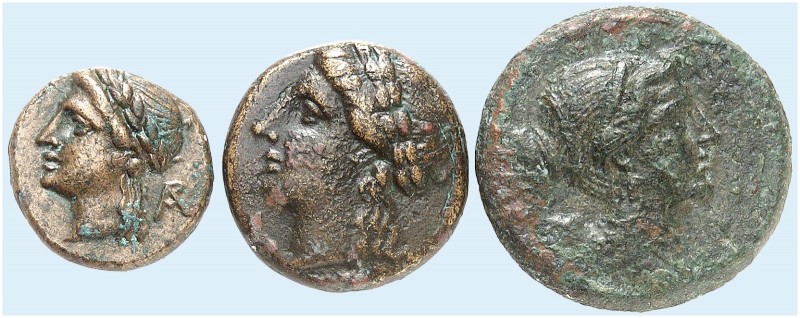 GRIECHISCHE MÜNZEN. LUKANIEN. - Thurioi. 
Lot von 3 Stück: Bronzen, 300-268 v. ...