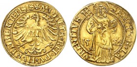 Goldgulden 1520.
Friedb. 1801, Kellner 11, Slg. Erl. - Gold, R ! ss+