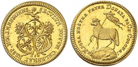 1/2 Lammdukat 1700 (Chronogramm), Mzm. GFN (1700-1716).
Friedb. 1887, Kellner 87, Slg. Erl. 594 Gold f. St