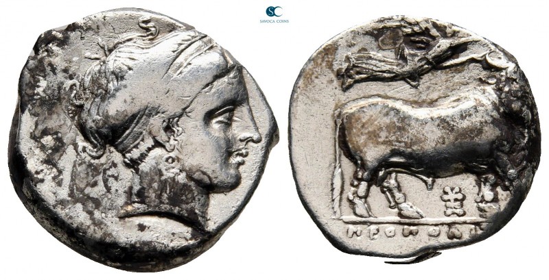 Campania. Neapolis 320-300 BC. 
Didrachm AR

18 mm, 7,33 g

Female head (Pa...