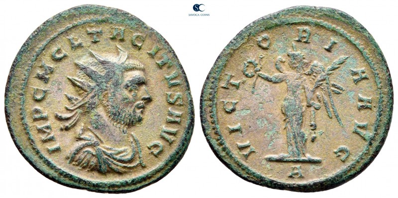 Tacitus AD 275-276. Rome
Antoninianus Æ

24 mm, 3,36 g

IMP C M C L TACITVS...