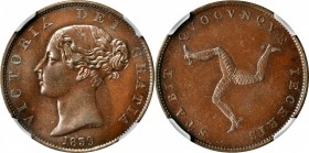 ISLE OF MAN. 1/2 Penny, 1839. London Mint. Victoria. NGC MS-64 Brown.
KM-13; S-7418. An attractive coin with bold strike, glossy lustrous surfaces, a...