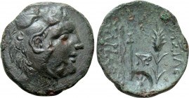 KINGS OF SKYTHIA. Sariakes (Circa 179-150 BC). Ae
