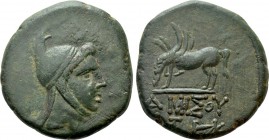 PONTOS. Amisos. Time of Mithradates VI Eupator (Circa 100-95 or 80-70 BC). Ae