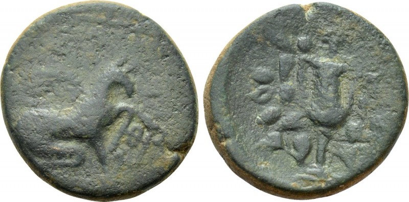 IONIA. Teos. Ae (1st century BC). 

Obv: Griffin seated right, with left forep...