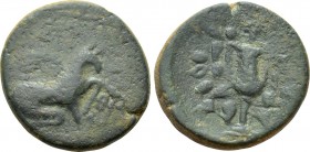 IONIA. Teos. Ae (1st century BC)