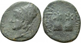KINGS OF SOPHENE. Arsames I (Circa 255-225 BC). 2 Chalkoi