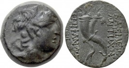 SELEUKID KINGDOM. Antiochos VIII Epiphanes (Grypos) (121-96 BC). Ae. Antioch
