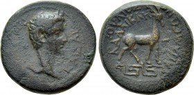 PHRYGIA. Apameia. Germanicus (Caesar, 15 BC-19 AD). Ae. Struck under Tiberius. Gaios Ioulios Kallikles, magistrate