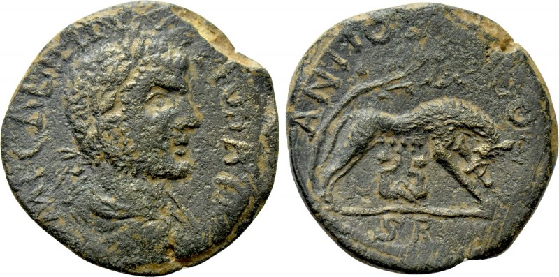 PISIDIA. Antioch. Gallienus (253-268). Ae. 

Obv: IMP GALIHNVS PIVS A[...]. 
...