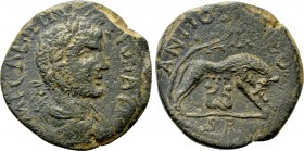 PISIDIA. Antioch. Gallienus (253-268). Ae