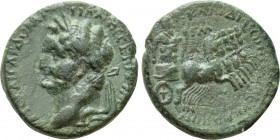 SELEUCIS & PIERIA. Claudia Leucas. Domitian (81-96). Ae. Dated RY 43 (89/90–95/6 AD)