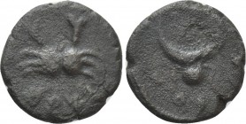 MESOPOTAMIA. Carrhae. Pseudo-autonomous (2nd century). Ae