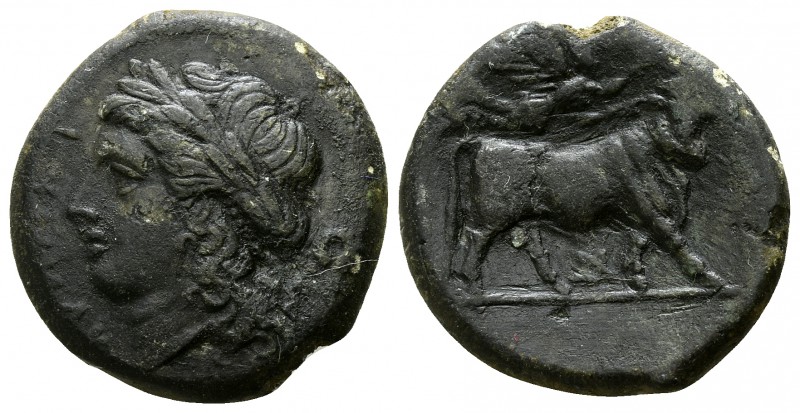 Campania. Teanum Sidicium circa 265-240 BC.
Obol Æ

19mm., 4,39g.

Laureate...