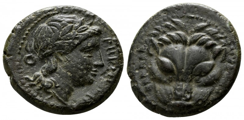 Bruttium. Rhegion circa 351-280 BC.
Bronze Æ

21mm., 6,72g.

Head of lion f...