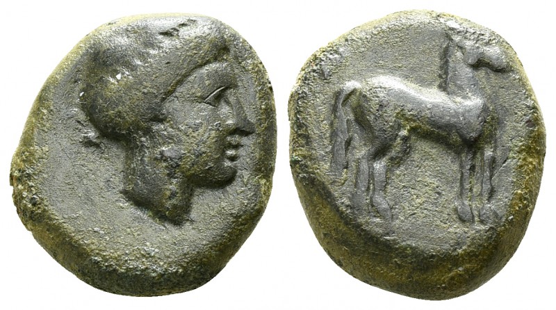 Sicily. Eryx circa 330-260 BC.
Bronze Æ

13mm., 4,56g.

Female head right /...