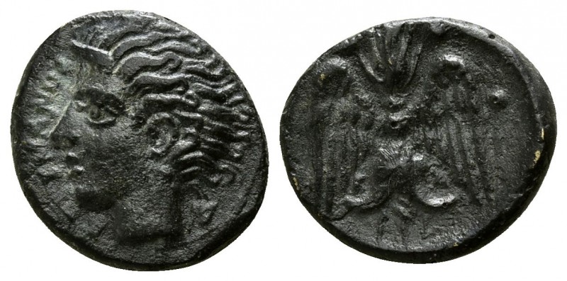 Sicily. Katane circa 415-403 BC.
Tetras Æ

13mm., 1,72g.

Bare head of Amen...