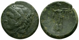 Sicily. Syracuse. Pyrrhos circa 278-276 BC. Bronze Æ