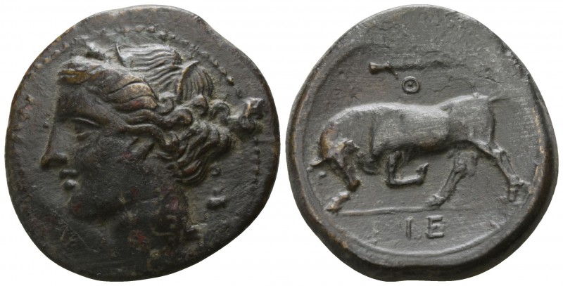 Sicily. Syracuse. Hieron II 275-215 BC.
Hemilitron Æ

20mm., 5,69g.

[ΣΥΡAK...