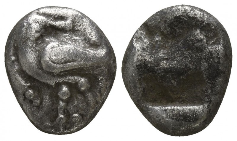 Macedon. Eion 500-400 BC.
Obol AR

9mm., 0,87g.

Goose standing left, head ...