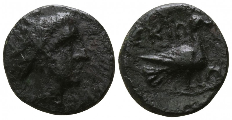 Macedon. Scione 400-350 BC.
Bronze Æ

11mm., 1,75g.

Female head right, wea...