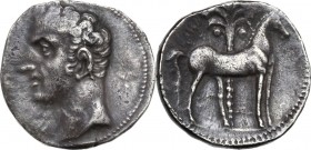 Punic Iberia. AR Shekel, c. 237-209 BC. Male head (Hannibal (?)) left. / Horse standing right; palm tree in background. MHC 131-65; SNG BM SPain 104-5...