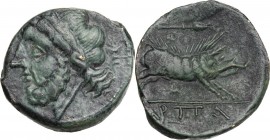 Greek Italy. Northern Apulia, Arpi. AE 21 mm c. 325-275 BC. Laureate head of Zeus left; thunderbolt to right. / Wild boar right; above, spearhead righ...